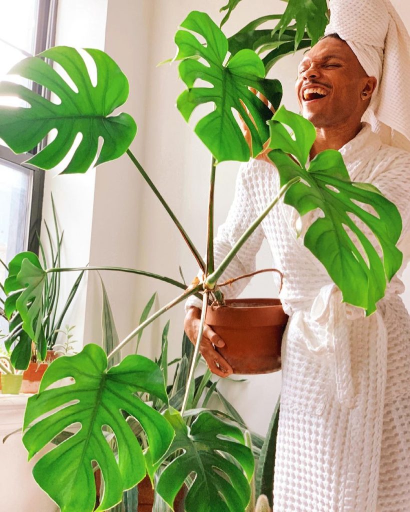 vc-monstera-deliciosa-3